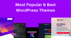 best wordpress themes